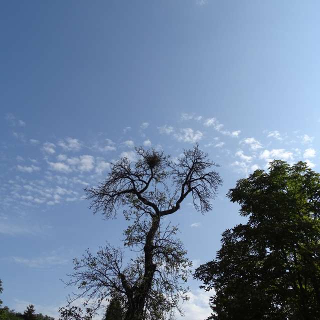 Fotos Clima. Previsões do tempo com lindas fotos de Vasek325 em Praha 12