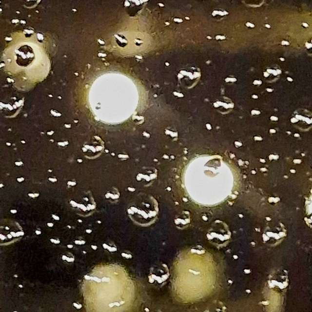 Food. Weather forecasts with beautiful photos by Seni Photos in Velbert