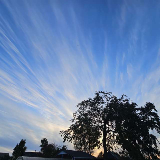 天气预报，带ImPe精美的照片