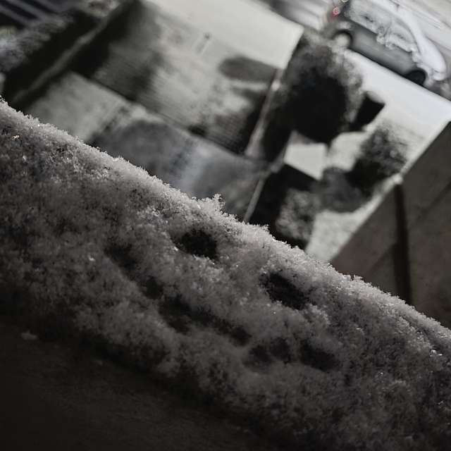 Pronósticos del tiempo con hermosas fotos de TylerDurden