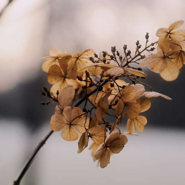 Weather forecasts with beautiful photos by T-Antonio
