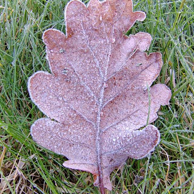 Wettervorhersagen mit schönen Fotos von Albert_Smelovtsev