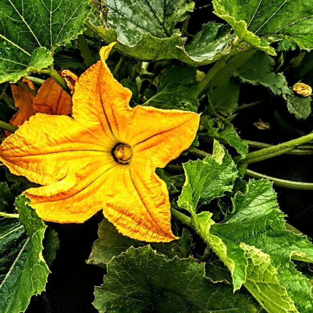 Close. Weather forecasts with beautiful photos by Wiesiek Photos in Gdansk