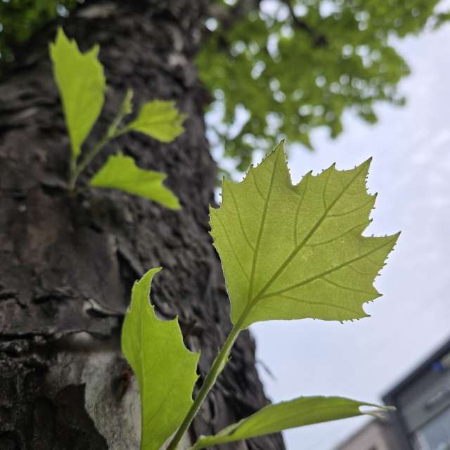 Prévisions météo avec de superbes photos de Jessica_A
