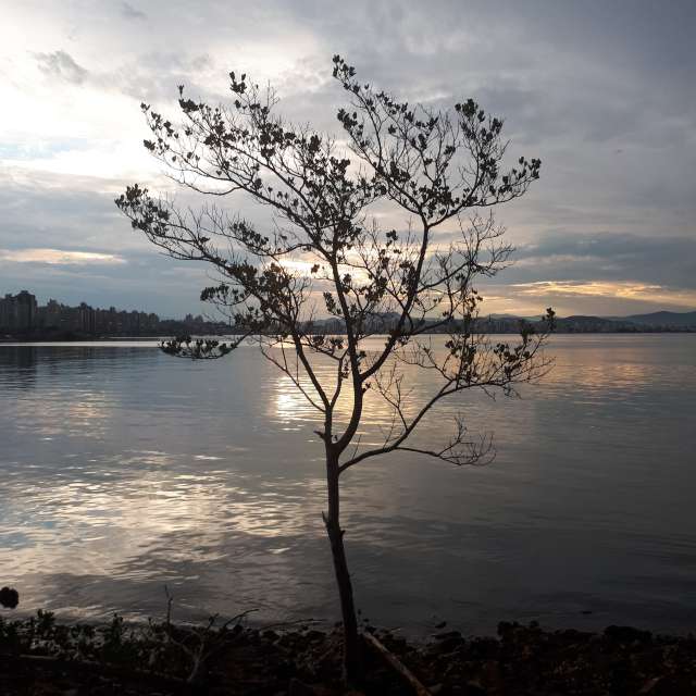 Weather. Wettervorhersagen mit schönen Fotos von Valdecir ML Fotos Florianópolis