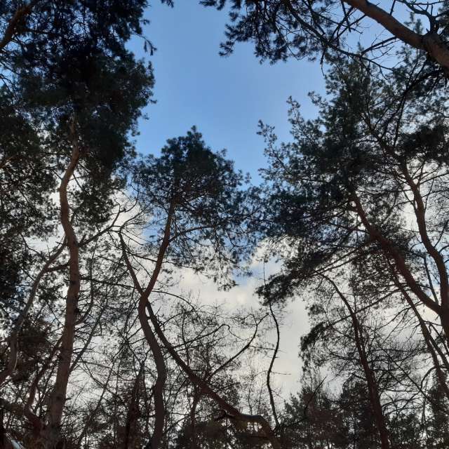 Silhouette. Weather forecasts with beautiful photos by Iryna Photos in Kharkiv