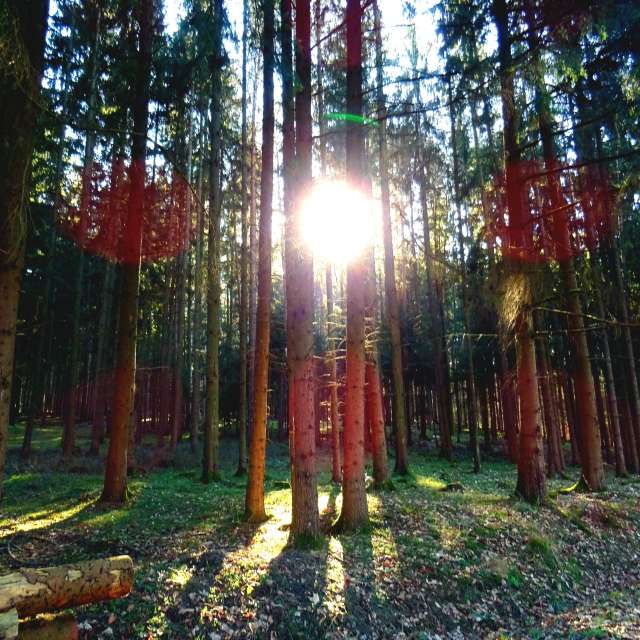 Pronósticos del tiempo con hermosas fotos de jmayr