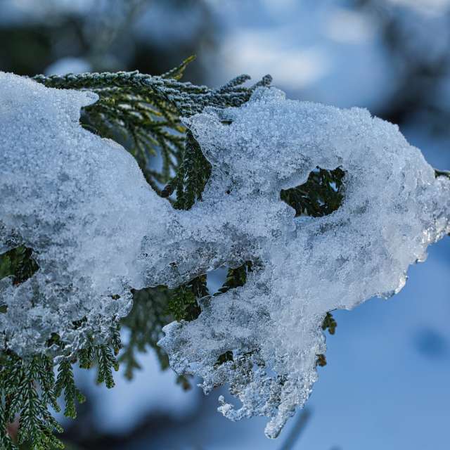 Weather forecasts with beautiful photos by martinm611