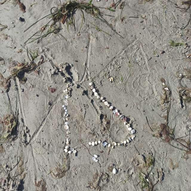 天气预报，带NataliaVologda精美的照片