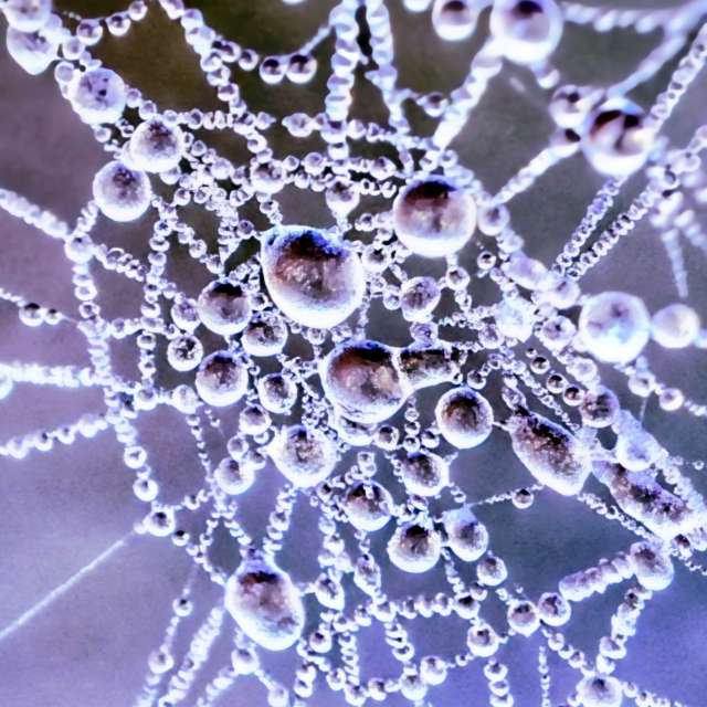 Prévisions météo avec de superbes photos de Lotti5507