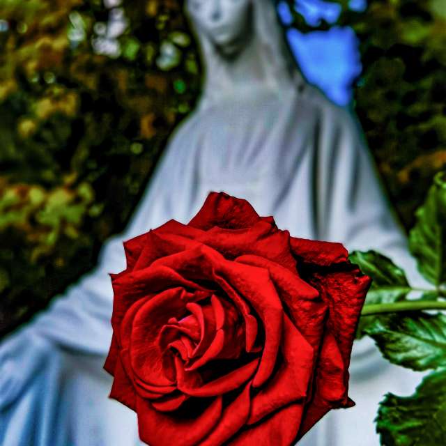 Wettervorhersagen mit schönen Fotos von Terraza74