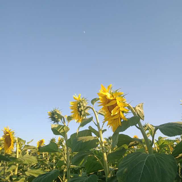 Weather forecasts with beautiful photos by Atakancry