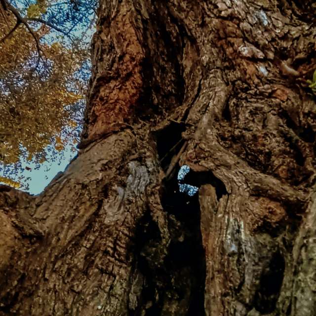 Прогнозы погоды с чудесными фотографиями, сделанными RUMBASTER