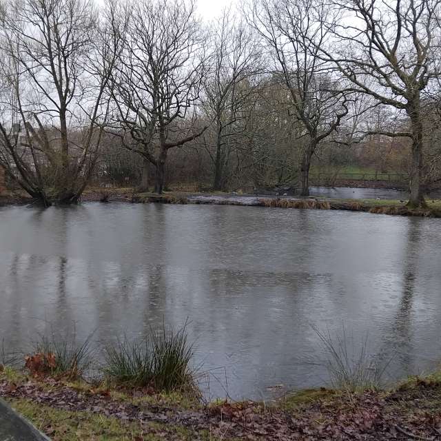 天气预报，带Lea71精美的照片