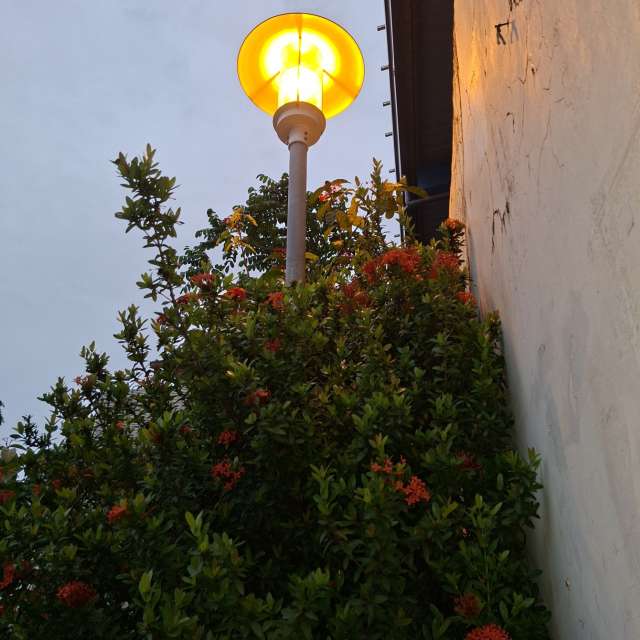 Clock. Weather forecasts with beautiful photos by Wen-ya Huang Photos in Kaohsiung City