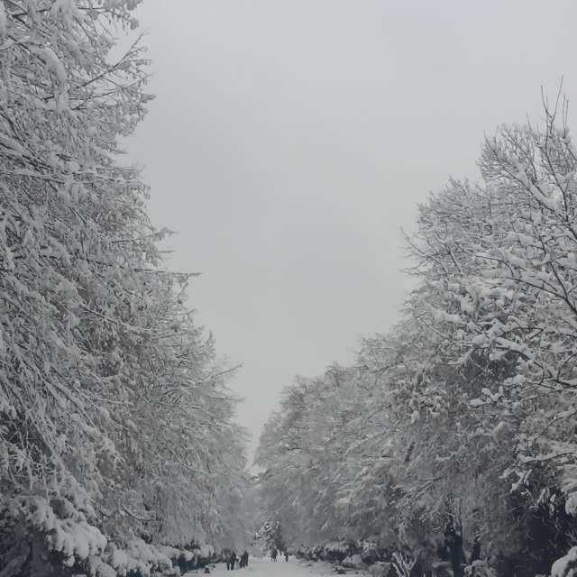 Fotos del Colina. Pronósticos del tiempo con hermosas fotos de YanBog en București