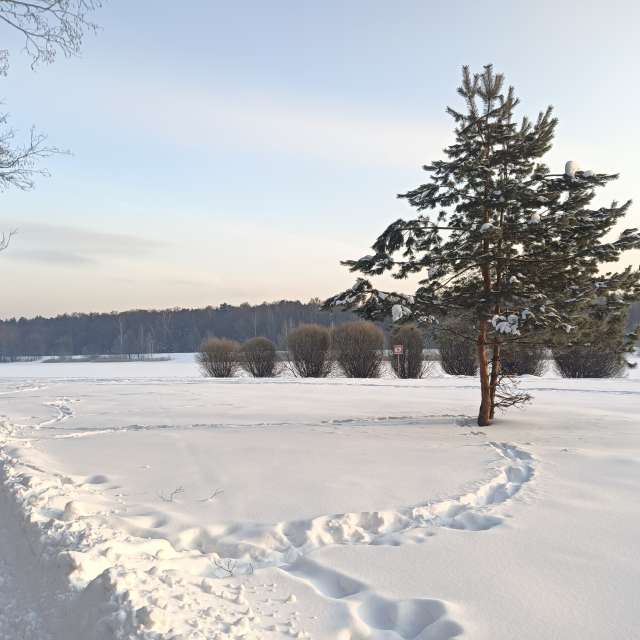Water. Weather forecasts with beautiful photos by Amanda_and_Valdemar_Che Photos in Izmaylovo District