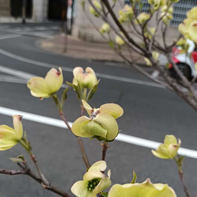 Fotos Grupo. Previsões do tempo com lindas fotos de あさのジジ em Okayama