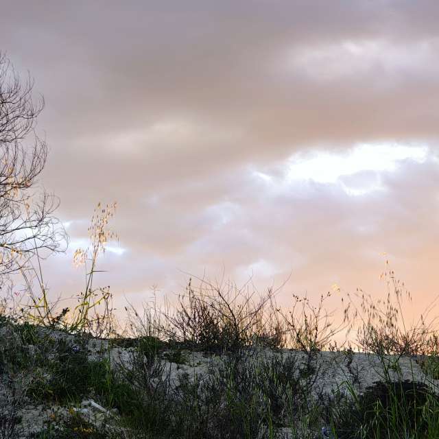 Prévisions météo avec de superbes photos de MSLidon