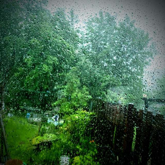 Zimmer. Wettervorhersagen mit schönen Fotos von Lulu5523 Fotos le Plateau