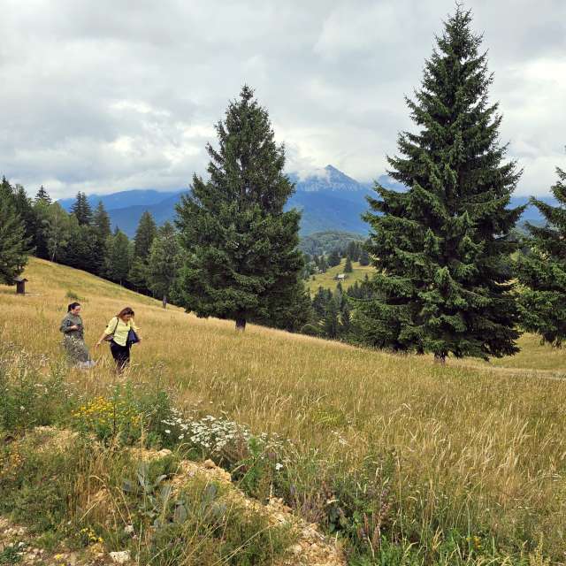 Pronósticos del tiempo con hermosas fotos de Liceul Industrial Busteni