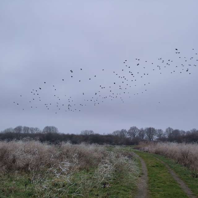 Prévisions météo avec de superbes photos de Rosaja