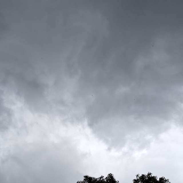 天气预报，带Wen-ya Huang精美的照片