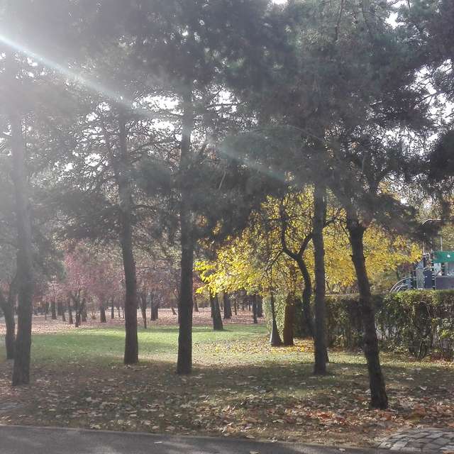 Fotos del Parque. Pronósticos del tiempo con hermosas fotos de anca7687 en Bucharest