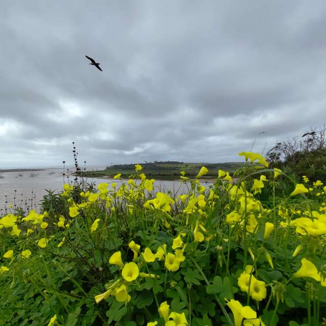 Weather forecasts with beautiful photos by Brtd