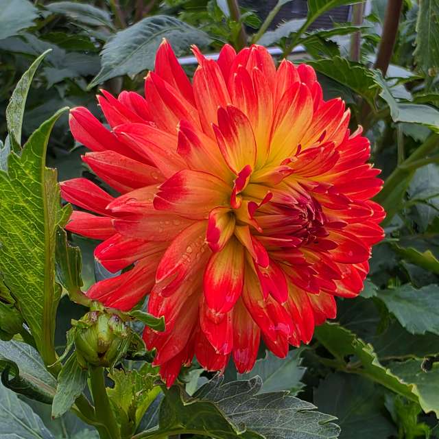 Clear. Weather forecasts with beautiful photos by Seni Photos in Velbert