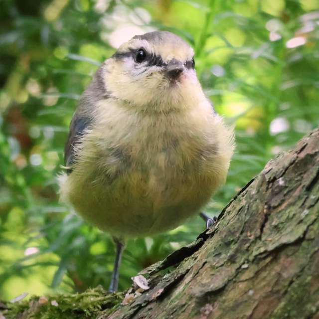 Wooden. Weather forecasts with beautiful photos by Lotti5507 Photos in Stockum