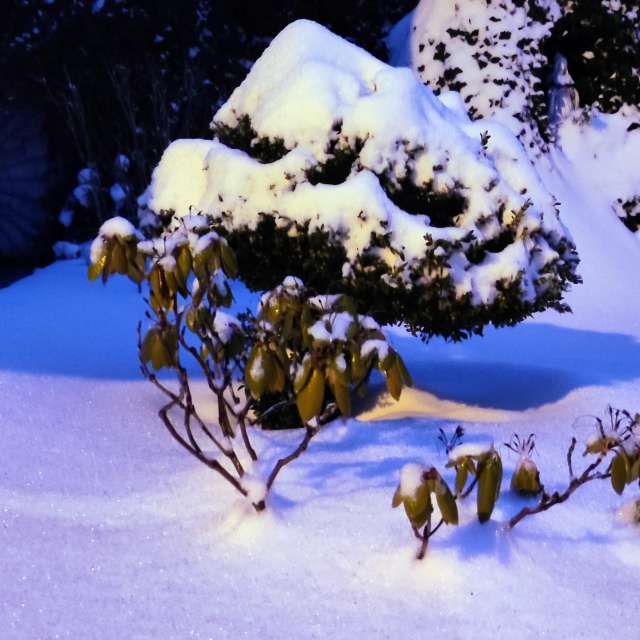 Gruppe. Wettervorhersagen mit schönen Fotos von Kripo Fotos Ladek Zdroj