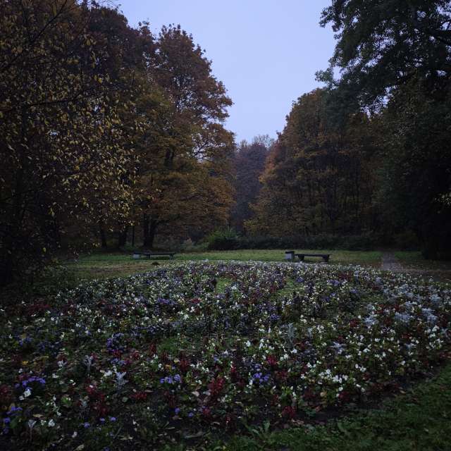 Weather forecasts with beautiful photos by Amanda_and_Valdemar_Che