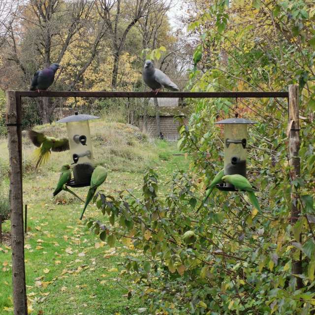 Fotos Vaca. Previsões do tempo com lindas fotos de NikolayPaunchev em 13 Boulevard de l'Hôpital