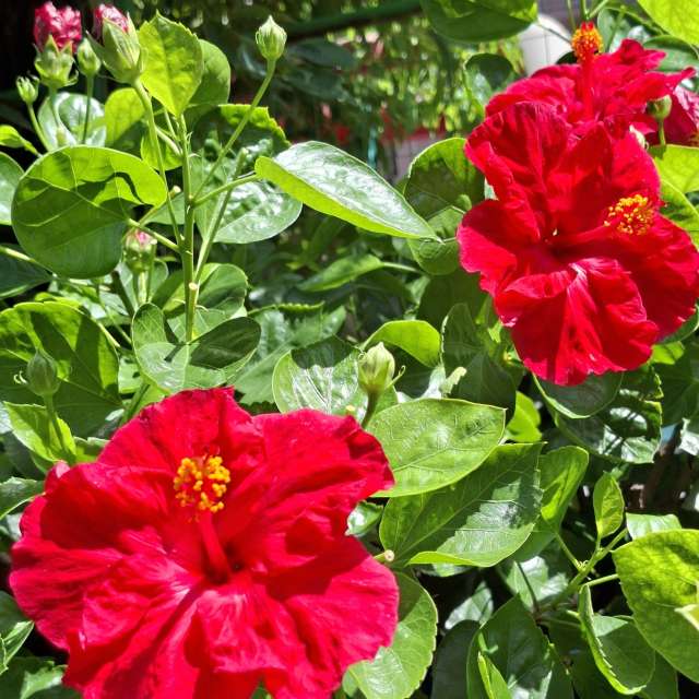 Many. Weather forecasts with beautiful photos by Wen-ya Huang Photos in Kaohsiung City