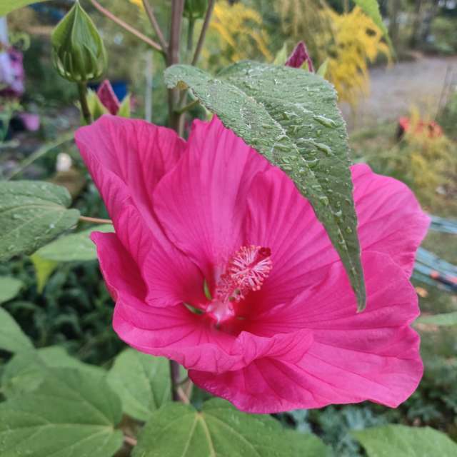 Allersberg的Weather. 天气预报，带Brtd精美的照片照片