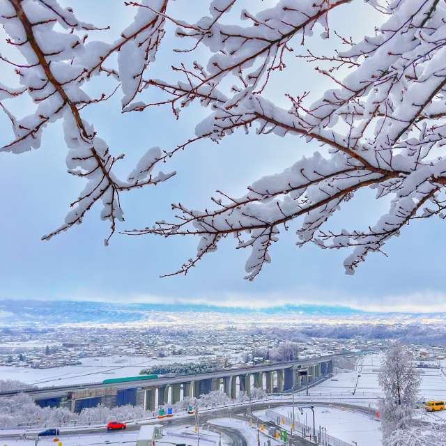 Group. Weather forecasts with beautiful photos by Kasumisou Photos in Saku-shi