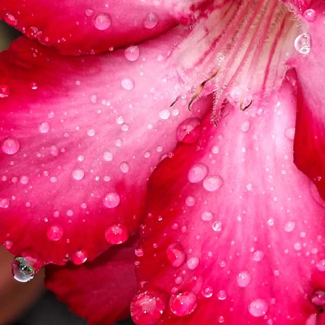 Rain. Weather forecasts with beautiful photos by Wen-ya Huang Photos in Kaohsiung City