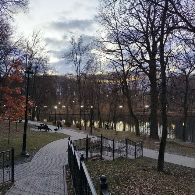 Fence. Weather forecasts with beautiful photos by Aleksei Photos in Tula