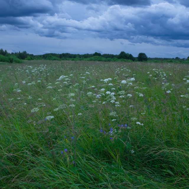 Weather Photos in . Weather forecasts with beautiful photos by Дмитрий_