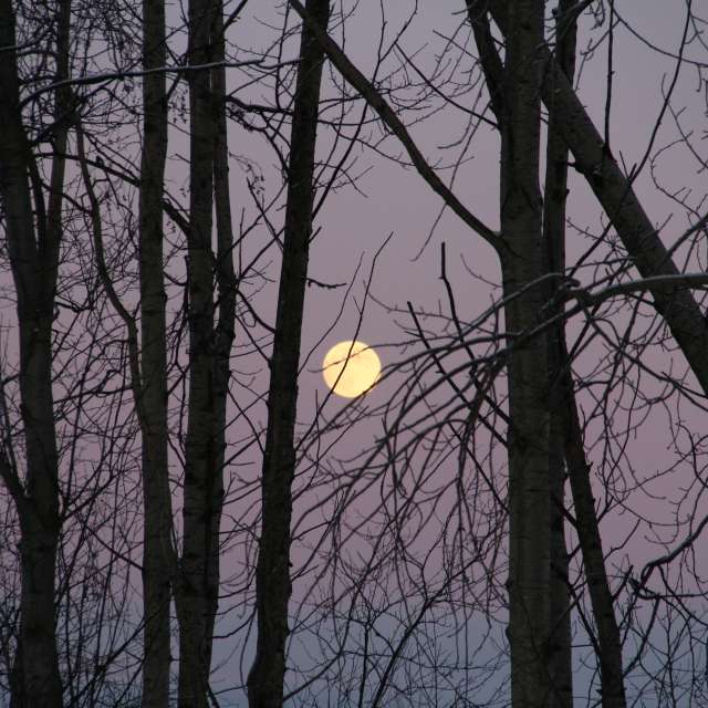 Weather forecasts with beautiful photos by urubu