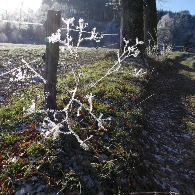 Прогнозы погоды с чудесными фотографиями, сделанными Fredy_Hiker