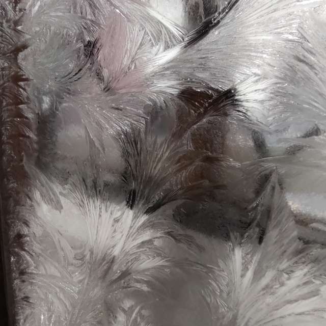 Polar. Weather forecasts with beautiful photos by paja_d Photos in World