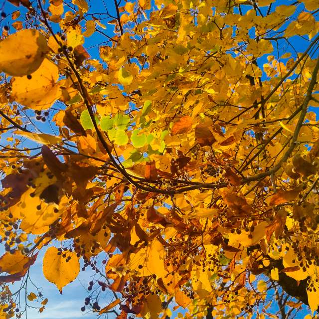 Photos Banc. Prévisions météo avec de superbes photos de Miloš_SK de Sereď