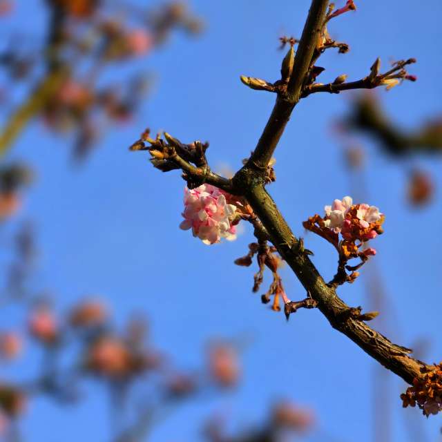 Resting. Weather forecasts with beautiful photos by Seni Photos in Velbert