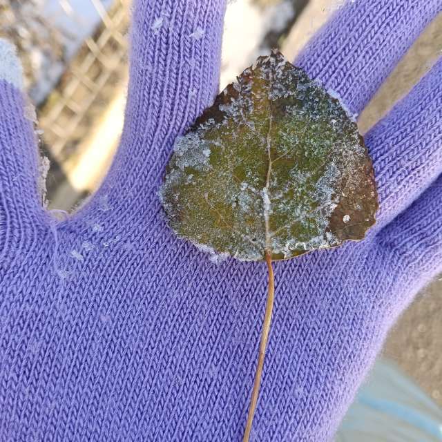 Прогнозы погоды с чудесными фотографиями, сделанными YanMir