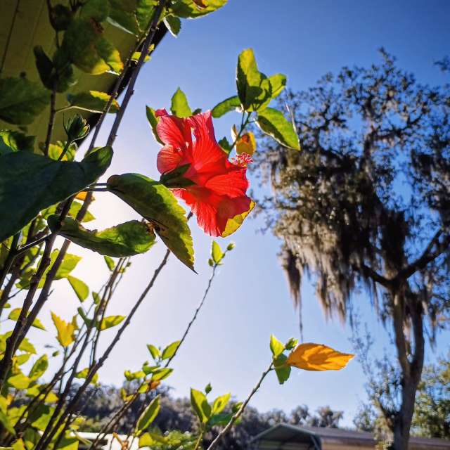 Weather forecasts with beautiful photos by Christinam01