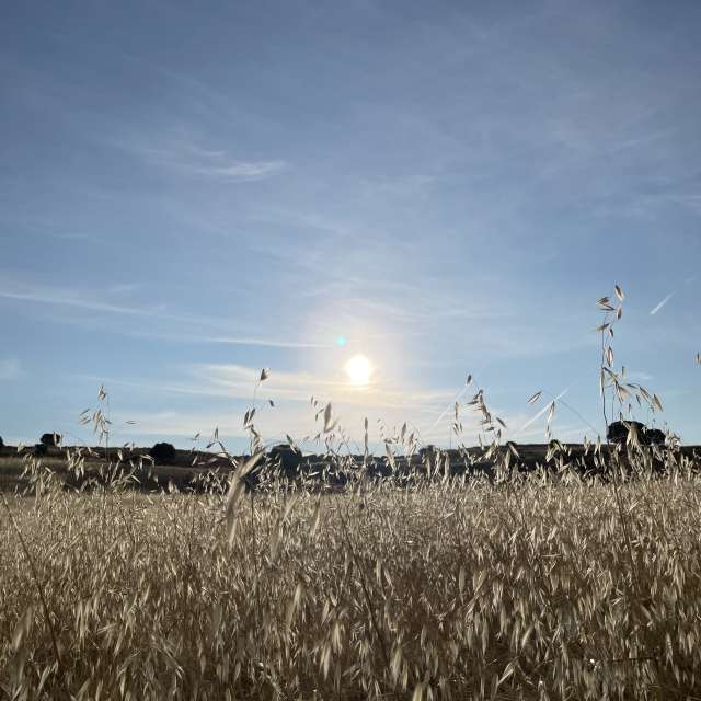 Standing. Weather forecasts with beautiful photos by Knopfler83 Photos in World