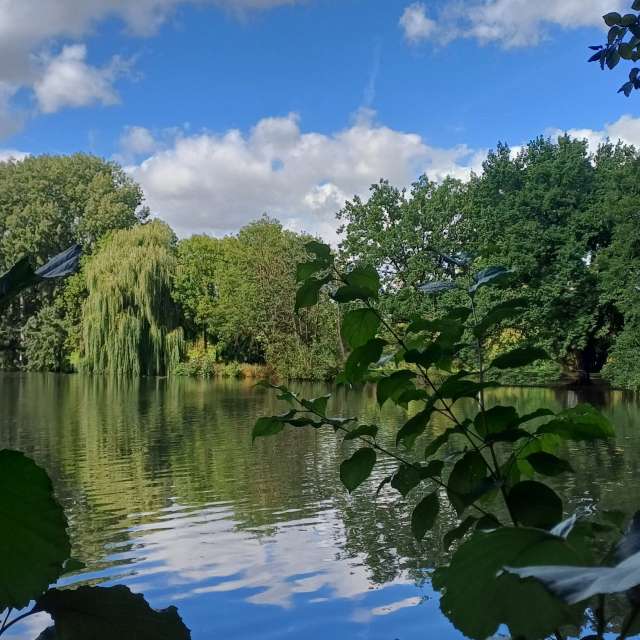 Weather forecasts with beautiful photos by vic74furt762