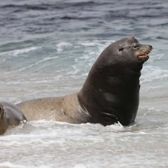 Fotos del Hombre. Pronósticos del tiempo con hermosas fotos de ohellitsmel en California